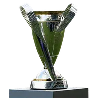 American MLS Cup