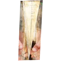 Australian A-League Coach of the Year