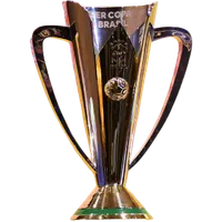 Brazilian Supercopa do Brasil