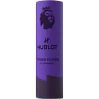 English Premier League Young Player of the Season