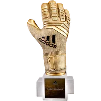 FIFA World Cup Golden Glove