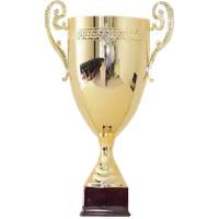 Hungarian League Cup