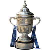 Irish FAI Cup