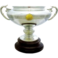 Japanese Emperors Cup