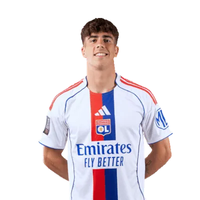 Afonso Bastardo Moreira