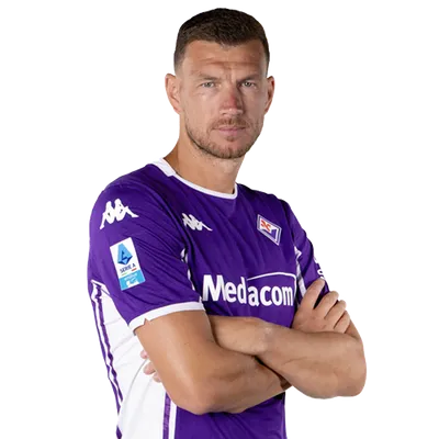 Edin Dzeko
