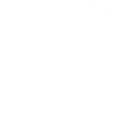 Metz II